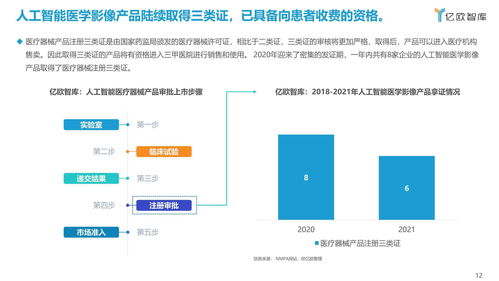 2021年中國(guó)人工智能醫(yī)學(xué)影像企業(yè)應(yīng)用軟件開發(fā)發(fā)展報(bào)告